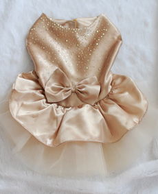 芭菲寵家寵物用品產(chǎn)品 產(chǎn)品圖片 加盟店怎么樣